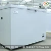 Tủ đông BDF-25H226 BIOBASE (226 lít, -10°C ~ -25°C)
