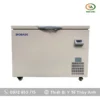 Tủ lạnh âm sâu BDF-40H205 BIOBASE (220 lít, -15°C ~ -40°C)