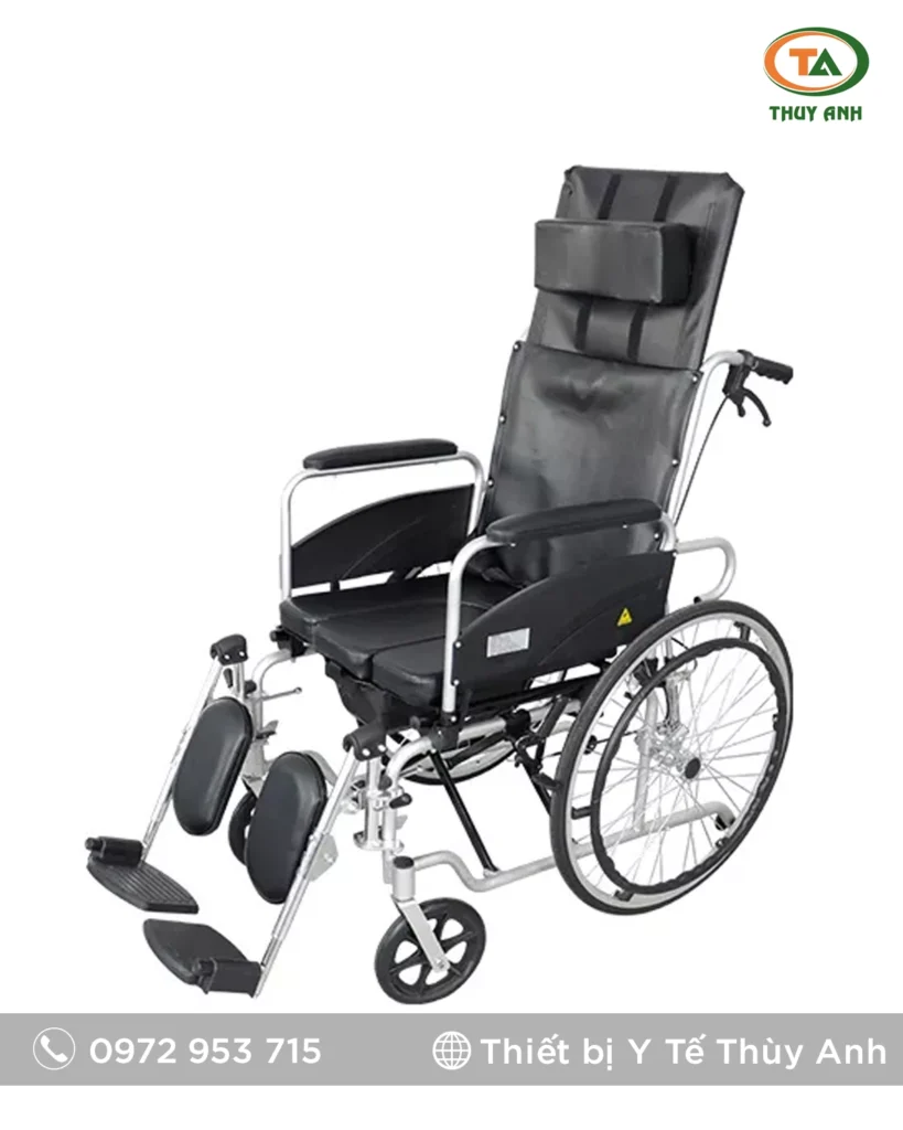 Xe lăn tay SYIV100-MFLG813 BIOBASE